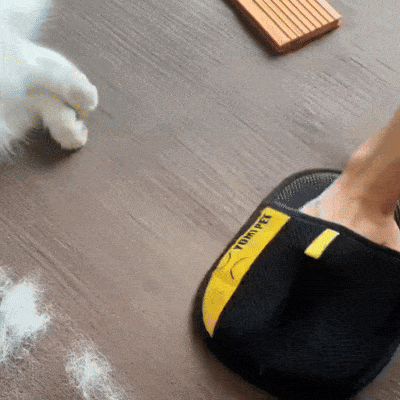 Magic Pet Hair Removal Gloves
