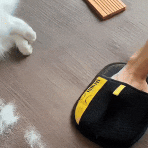 Pet Care